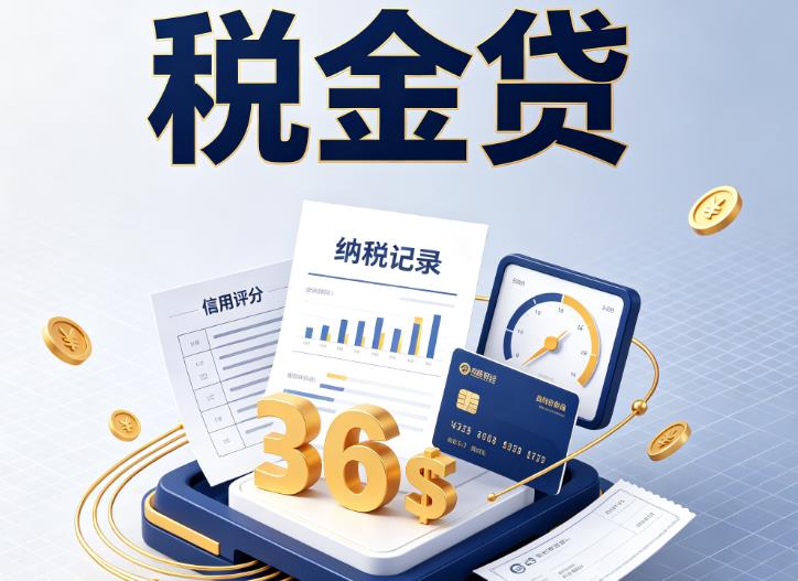 宁波企业税贷|宁波企业设备回租|宁波税贷过桥